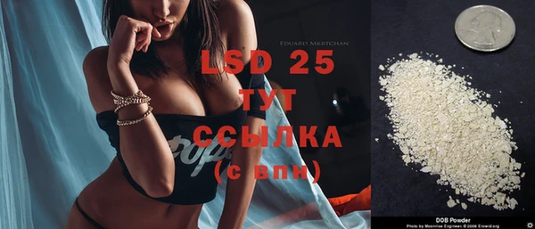 ALPHA PVP Ельня