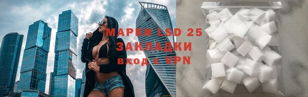 ALPHA PVP Ельня