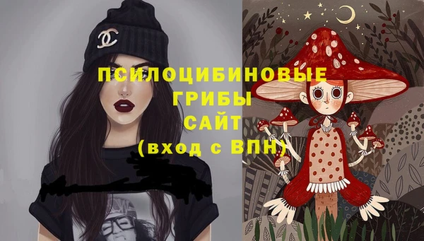 apvp Елабуга