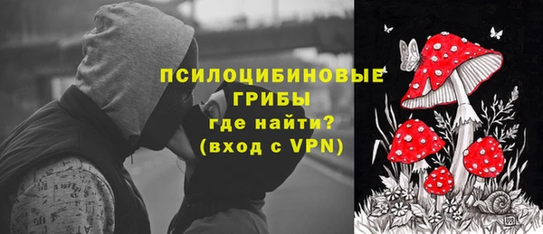 ALPHA PVP Ельня