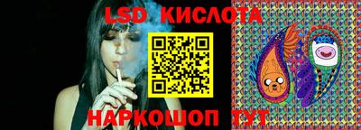 стаф Бийск