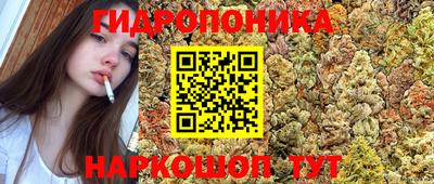 стаф Бийск