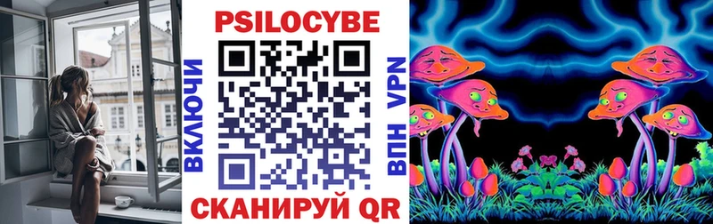 Псилоцибиновые грибы мухоморы  где продают   mega маркетплейс  Бийск 